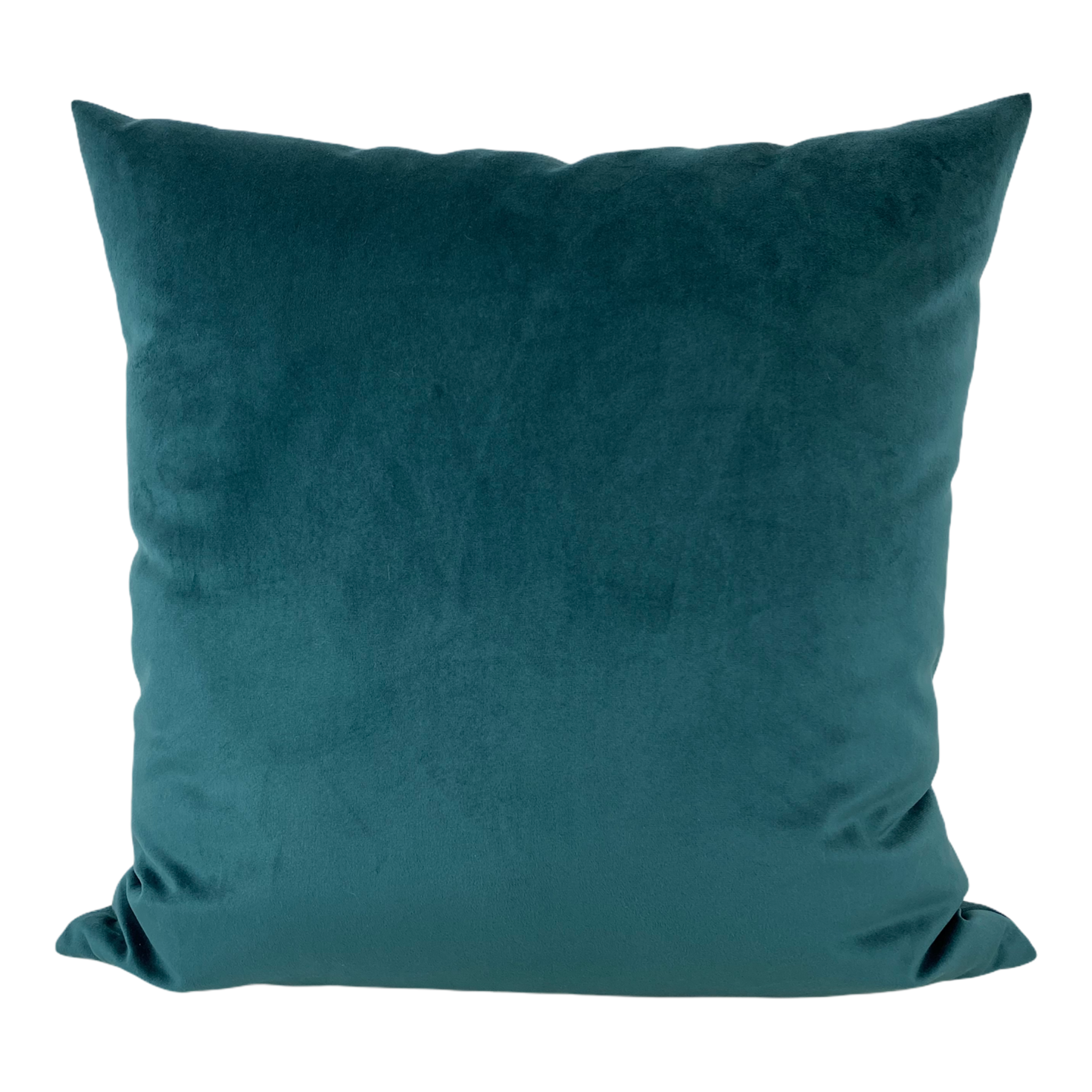 Franklin Velvet Cerulean Throw Pillow 20x20"